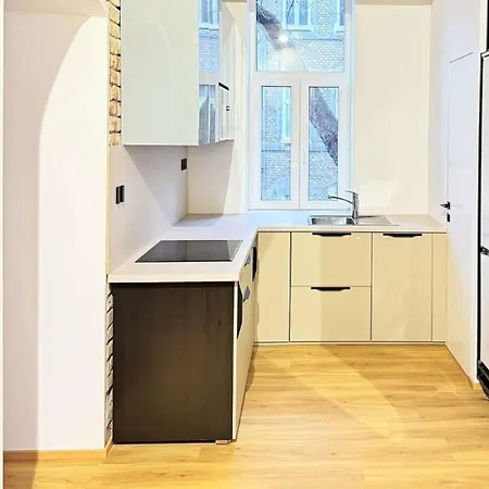 Apartment Zehn House 1 In The Center * ブラチスラヴァ
